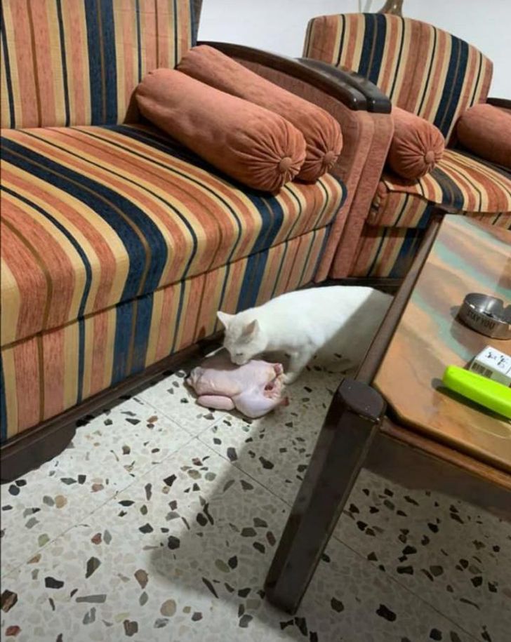 f6913259faac5f7825eb611bb8