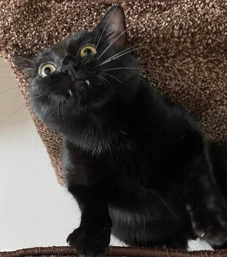 f697ae58f69ed86afe38abd081