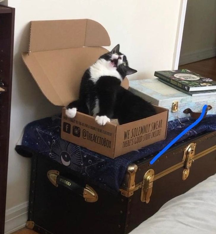 f69898540585b4c8e2f48a3045