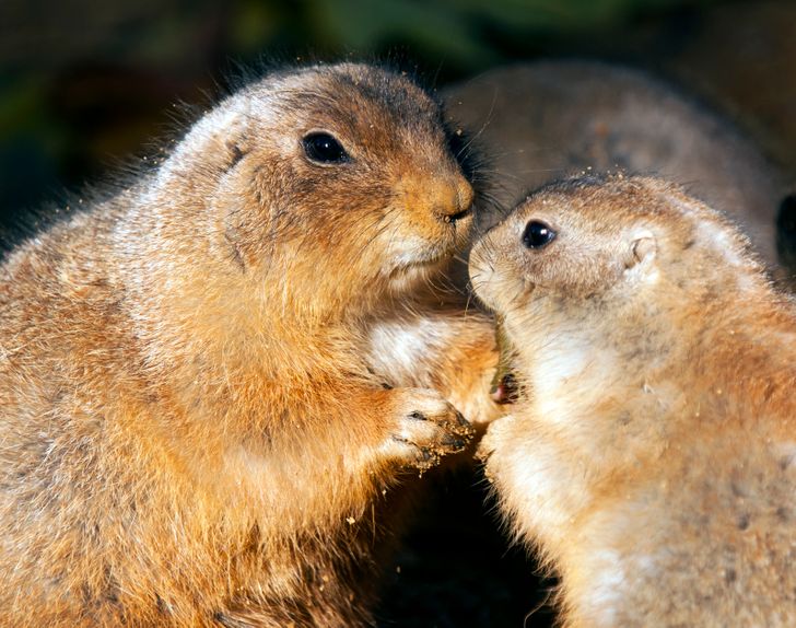 f69aac526db8e159f50be6fcf6