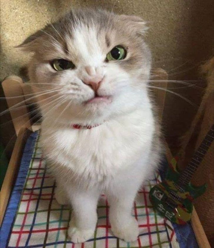 f69ed55ad3aa09b22ed4d8f157