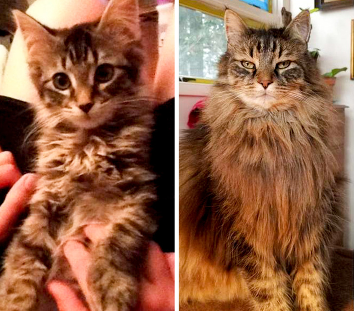 f6a362551fba28e97fa2d5ef36