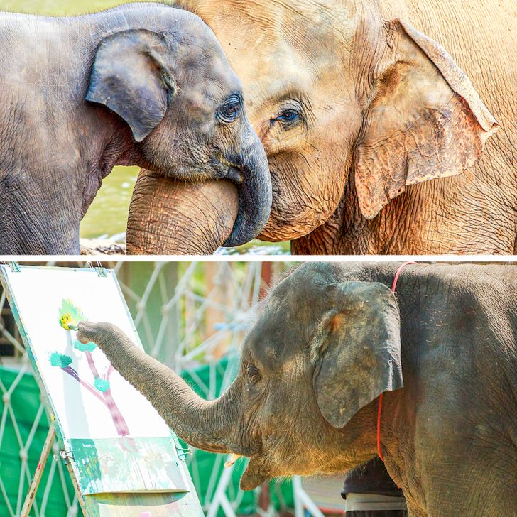 f6a4265d869aa590910eb0be0f