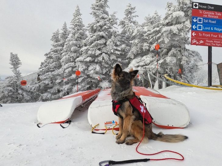 f6bba65dc1aed5a73cea8d8b2e