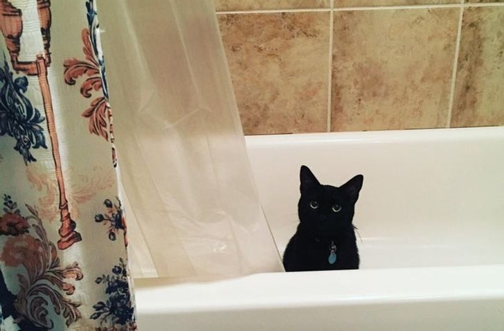 f6bf13539ca9721391bd7a84d9