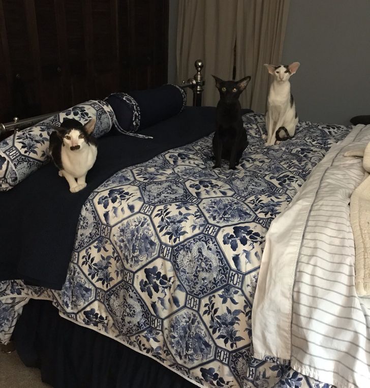 f6c01356d5bdb35ce28feb2f06