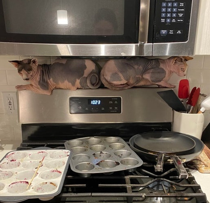 f6c4c15a59bc830c05277aa8e8 f6c4c15a59bc830c05277aa8e8