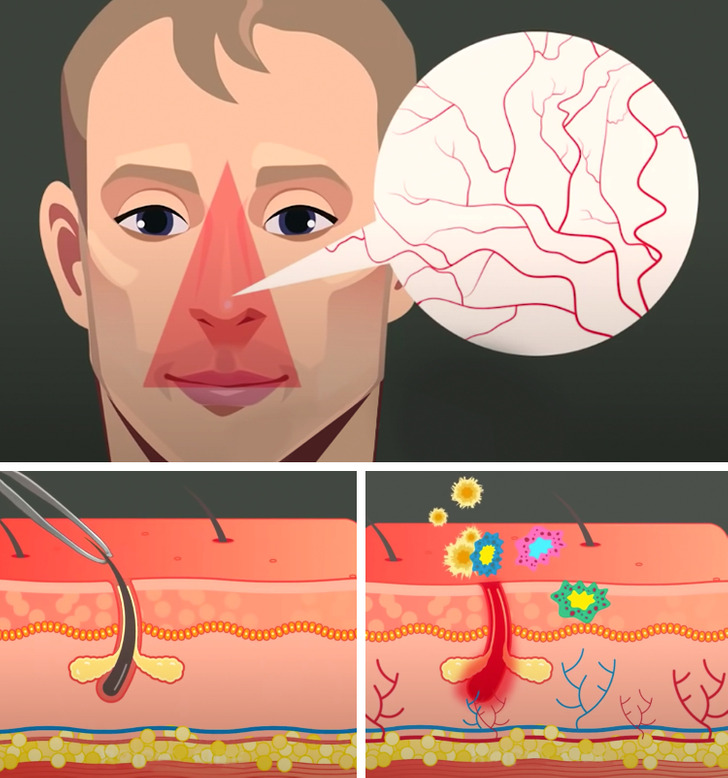 f6c56752909aad81c6c1b87683