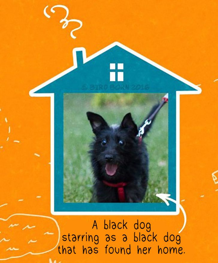 f6c6f858898efc48198e413434