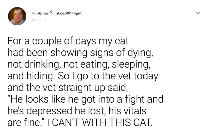 f6ccc652ca95d94f417e865054