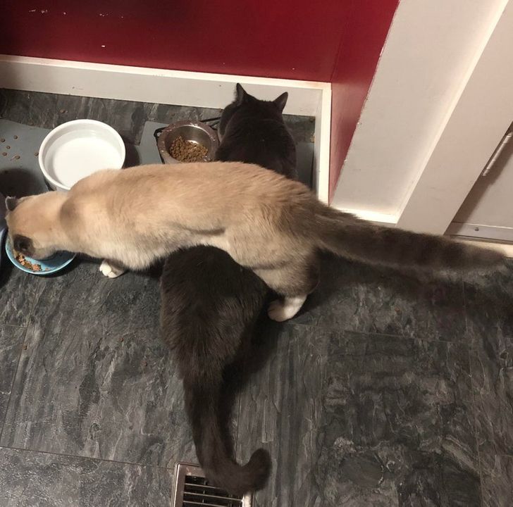 f6ce555c56b1be3f7b86611ad5