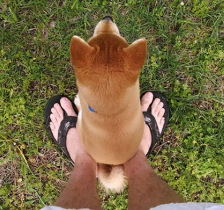 f6d6d357b2a39019d69616962a