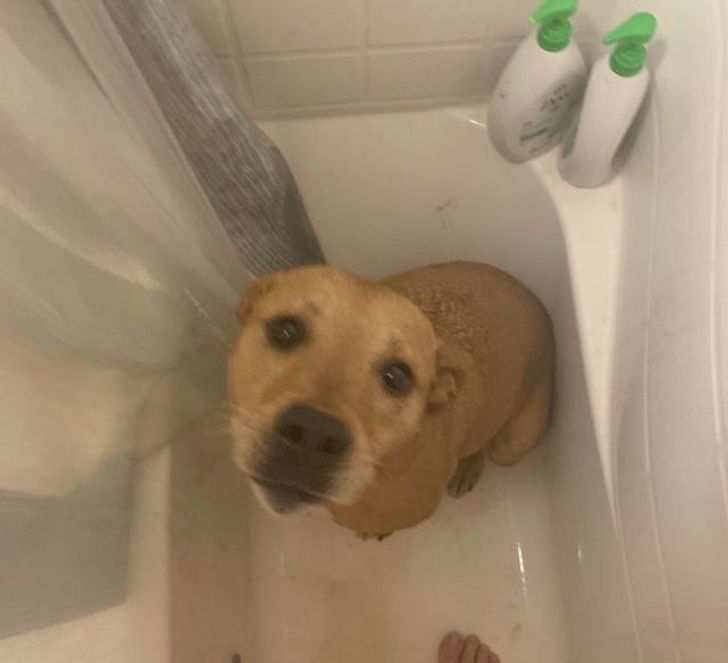 f6e0dd564a82ef5bf3df5d2924