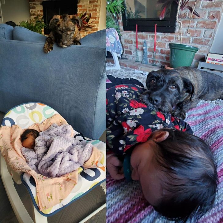 f6e221554987f746cf7d1343be