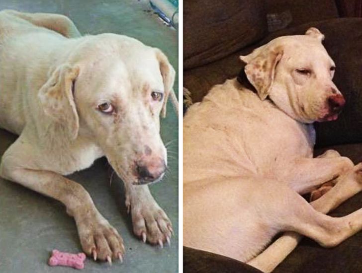 f6e25e5ddc9ab6eafa98e6e896