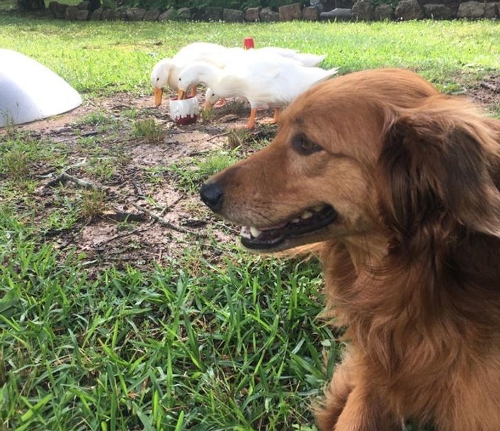 f6e4ac5acaa4c0ceeb3fd25092