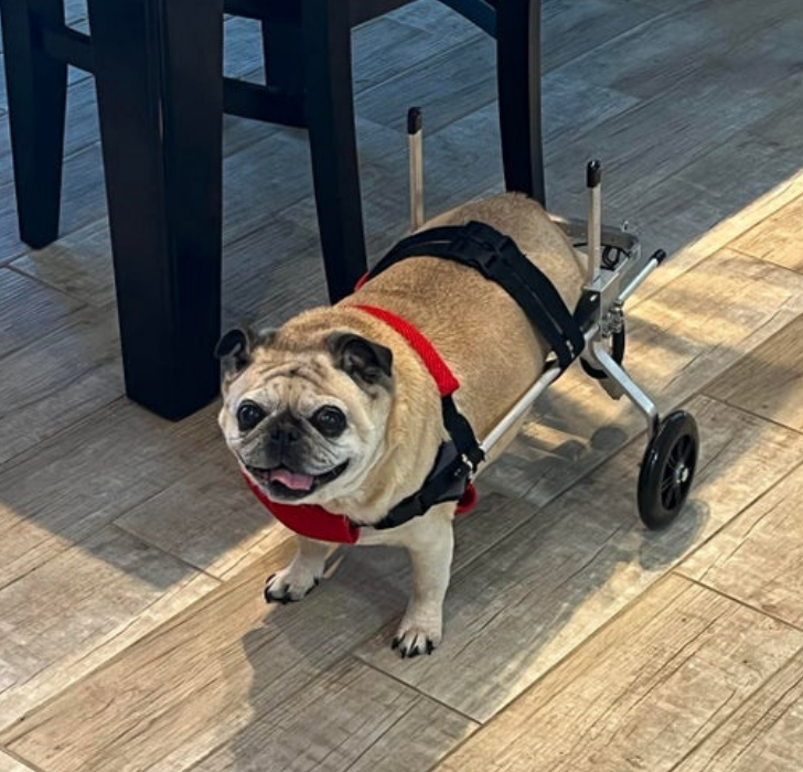 f6e69550d4b591cbb141188644 f6e69550d4b591cbb141188644