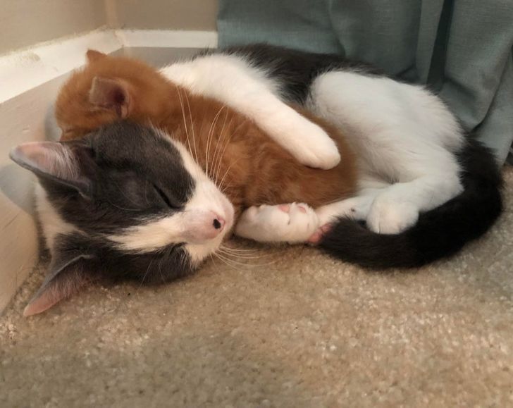 f6e70959d1a3c85533665a87b7