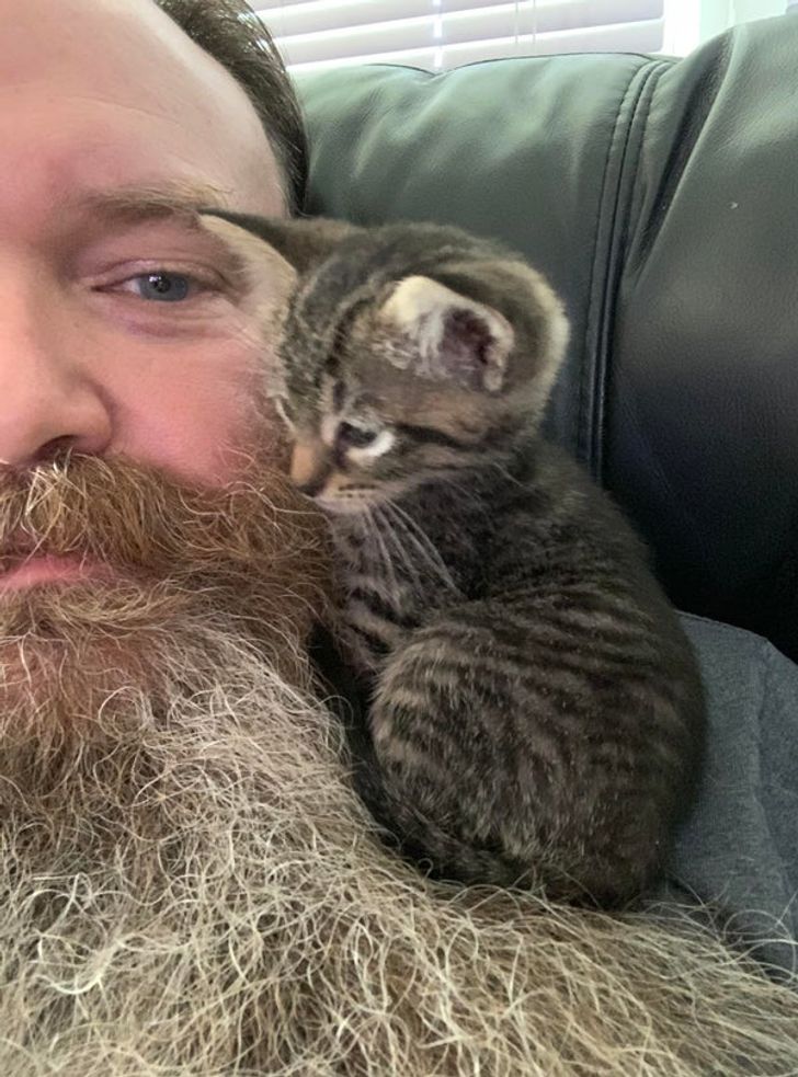 f6e7aa5678af2562387f7c516d