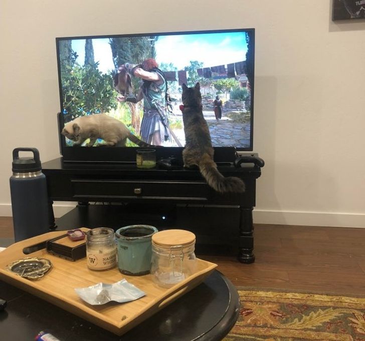 f6e87359bdafc57e4420011500