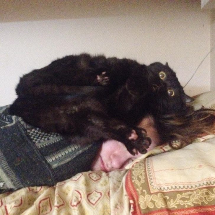 f6ed535ce1ae4a46e38c090226