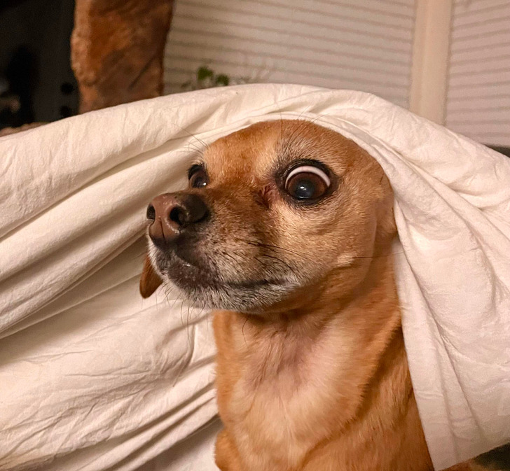 f6ed7457caa20954ed6a8179f4 f6ed7457caa20954ed6a8179f4