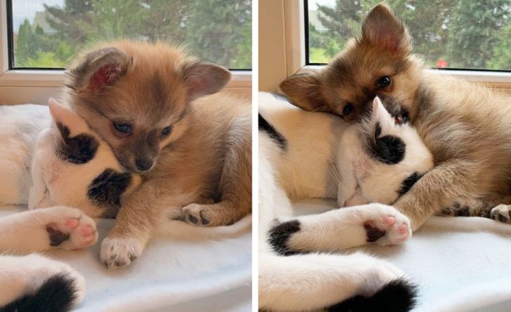 f6f1805b2d8370bbd562e3a5ff