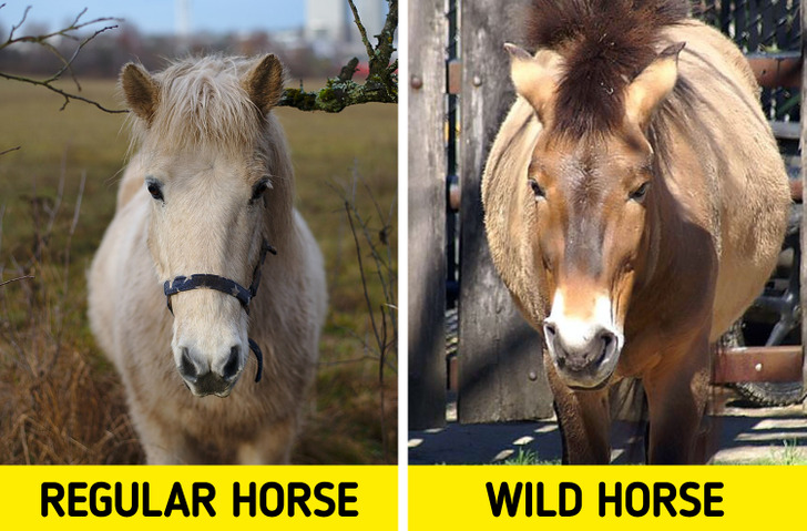 f6f62b5135939889ab1695a7c8