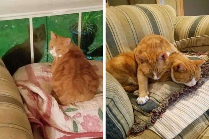 f6f6a95981b54c20449569efa5