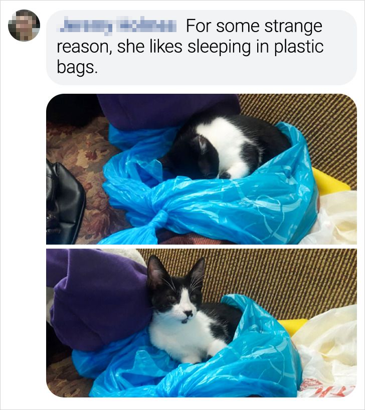 f700345b9a9c2e5b0bd4ce13cf