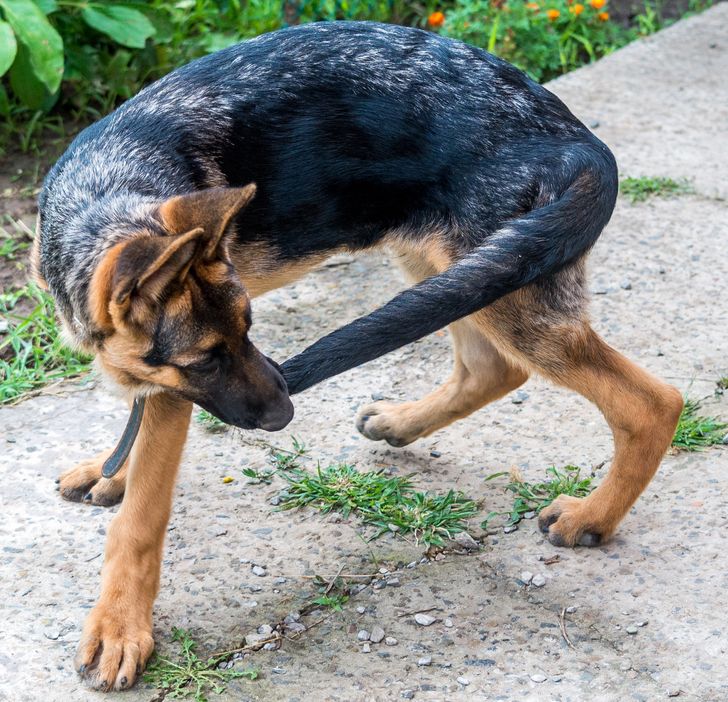 f701595d68906e1743c555e8c2