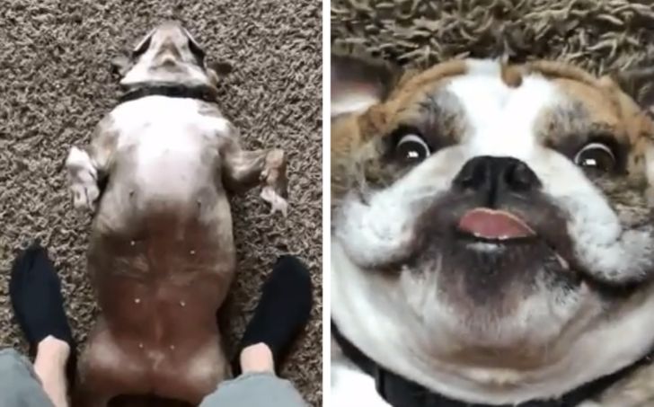 f706a75fdb8bf26211336914d5