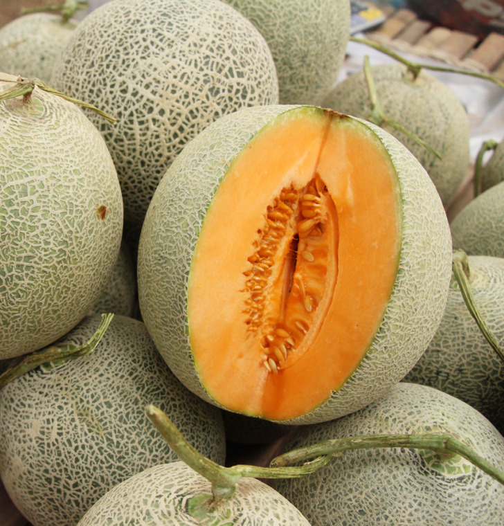 f70af5516f8a3c673ee1f1ddf5