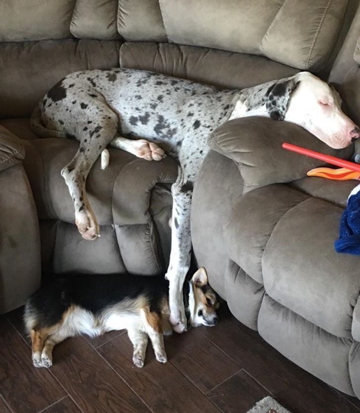 f70c445c3f8f21f9bff7f1eb45