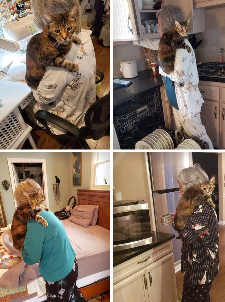 f70fc452399251cd90acf9f18d