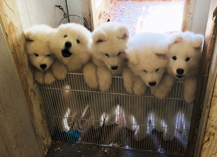 f71453558fa3c9c9ecbd22cbc2