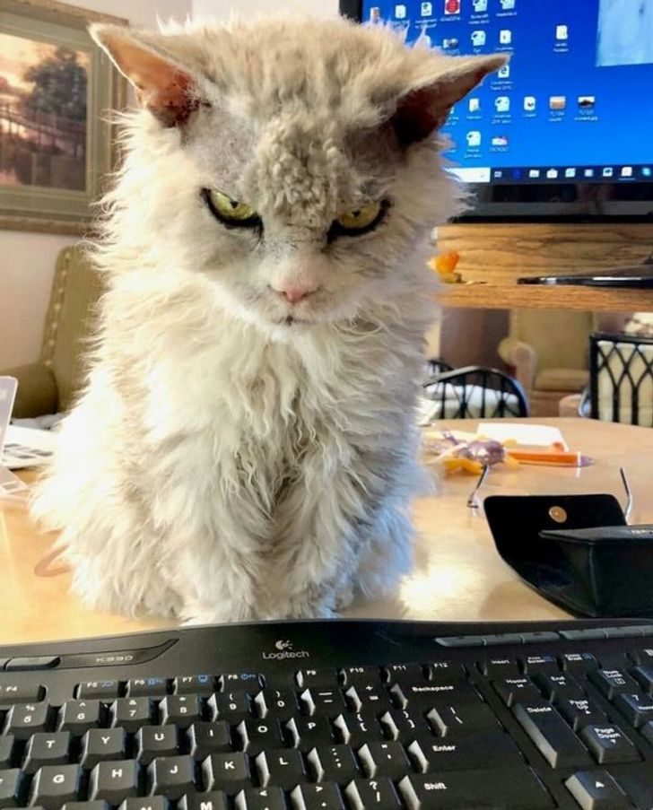 f715755d659c1c477277ff8620