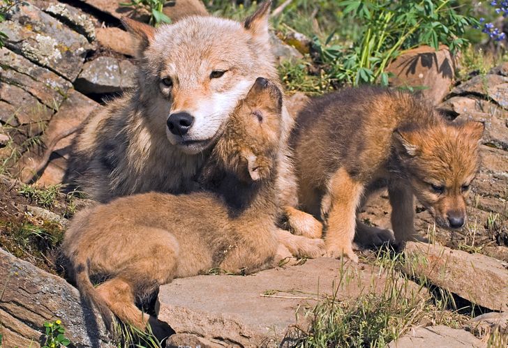 f71cfe5f1592b546cebe05d19a