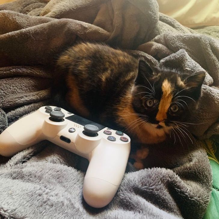 f7260f5abca0e5acf953a00a5c