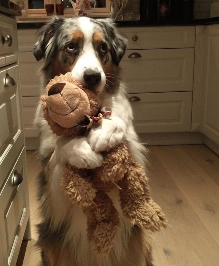 f730bc55b2b10610eb2df397e4