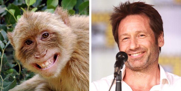 f731c15522b8c79dbaff01ae69