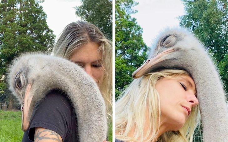 f733a45917add0bd65eff89363