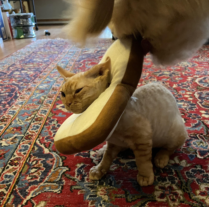 f73bf35a1195e83b138858ca3c