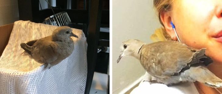 f73c4f562cb0f4777204891cd3