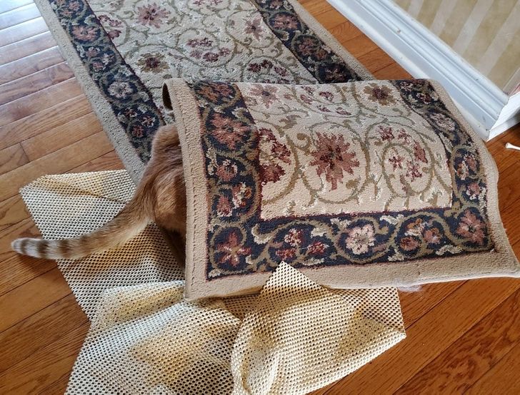 f73c53558ab06df6c0f19a5b30