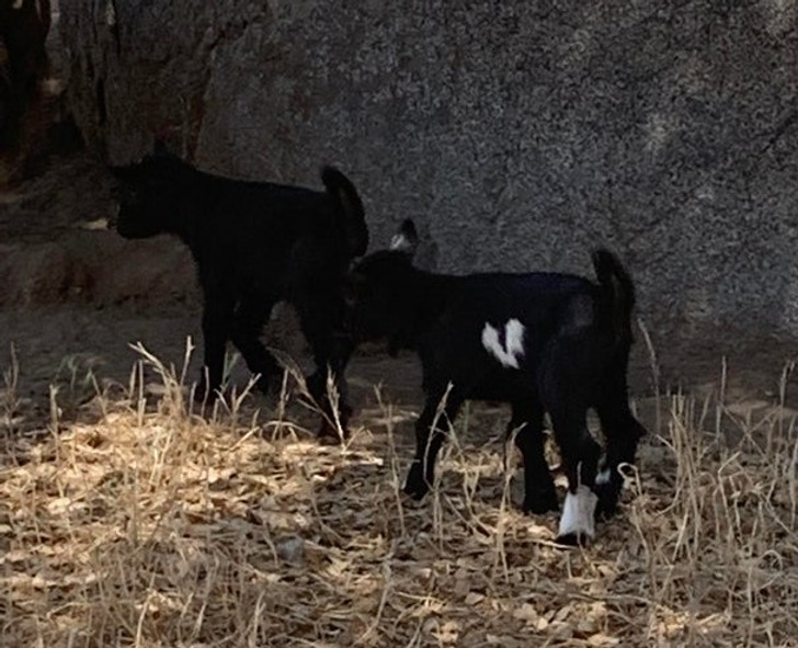 f73c6259ac965efc69ea2b17cc