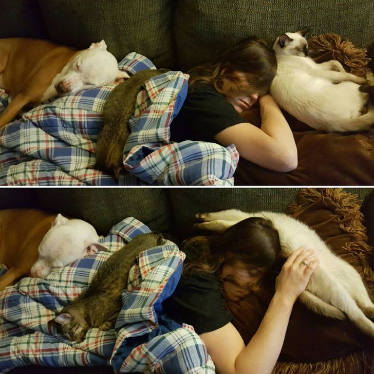 f73eaa51acb1d8d78d8b61cb7e