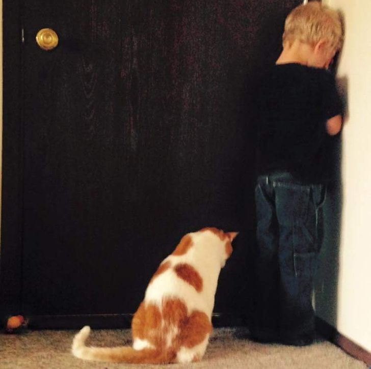 f7413c52f79ef0c3e9f4d7cb1f