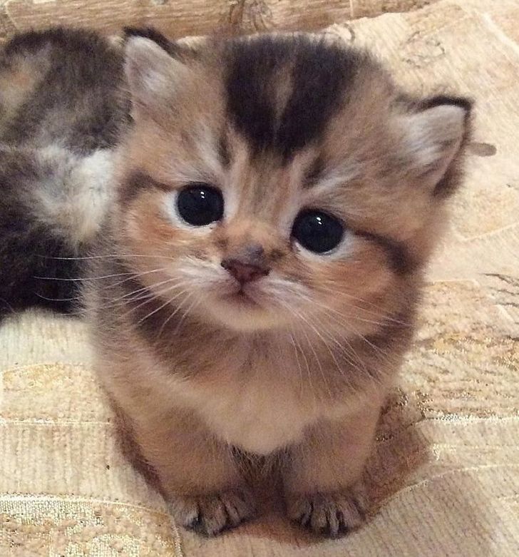 f744845a6e8c051441e4ed516b