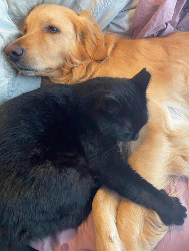 f7460254a087608edecf2c536a